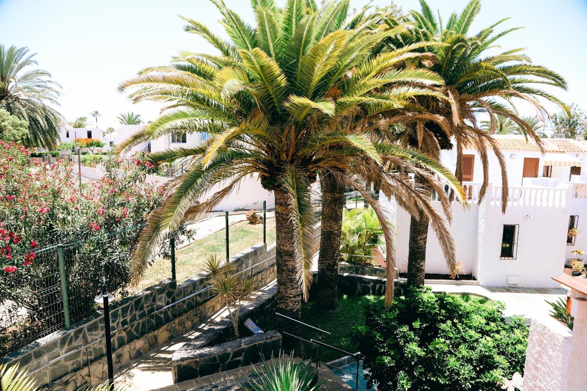 Appartement Virginia à Playa de las Américas Extérieur photo